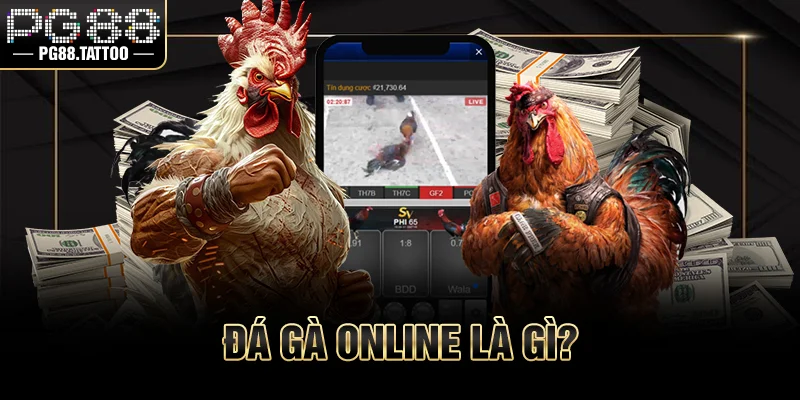 Đá Gà Online Là Gì? Luật Chơi Chi Tiết Cho Người Mới Đá gà online là gì?