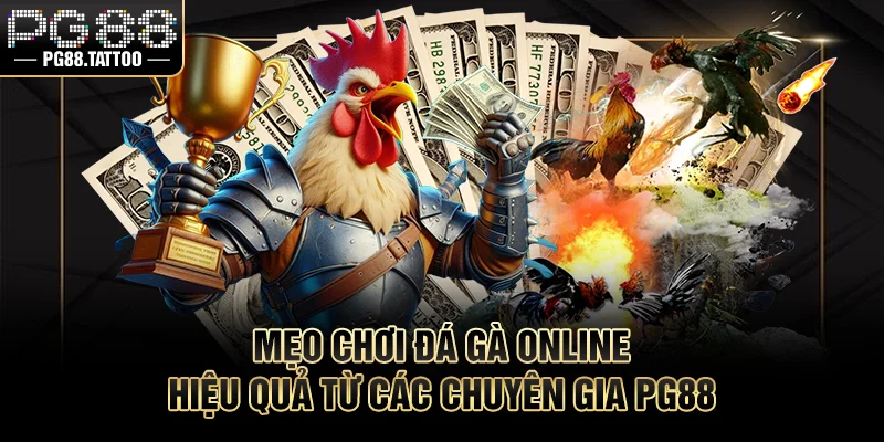 Đá Gà Online Là Gì? Luật Chơi Chi Tiết Cho Người Mới Mẹo chơi chọi kê online hiệu quả từ các chuyên gia PG88