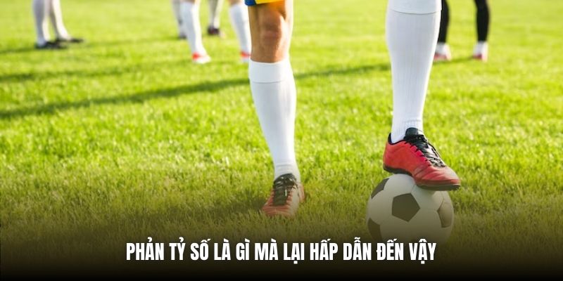 Phản Tỷ Số Là Gì? Tại Sao Lại Hấp Dẫn Khi Cá Cược? Phản tỷ số là gì mà lại hấp dẫn đến vậy